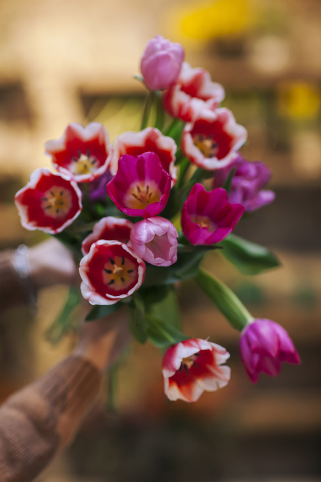 _lamenagere-flowershop-slider1-02