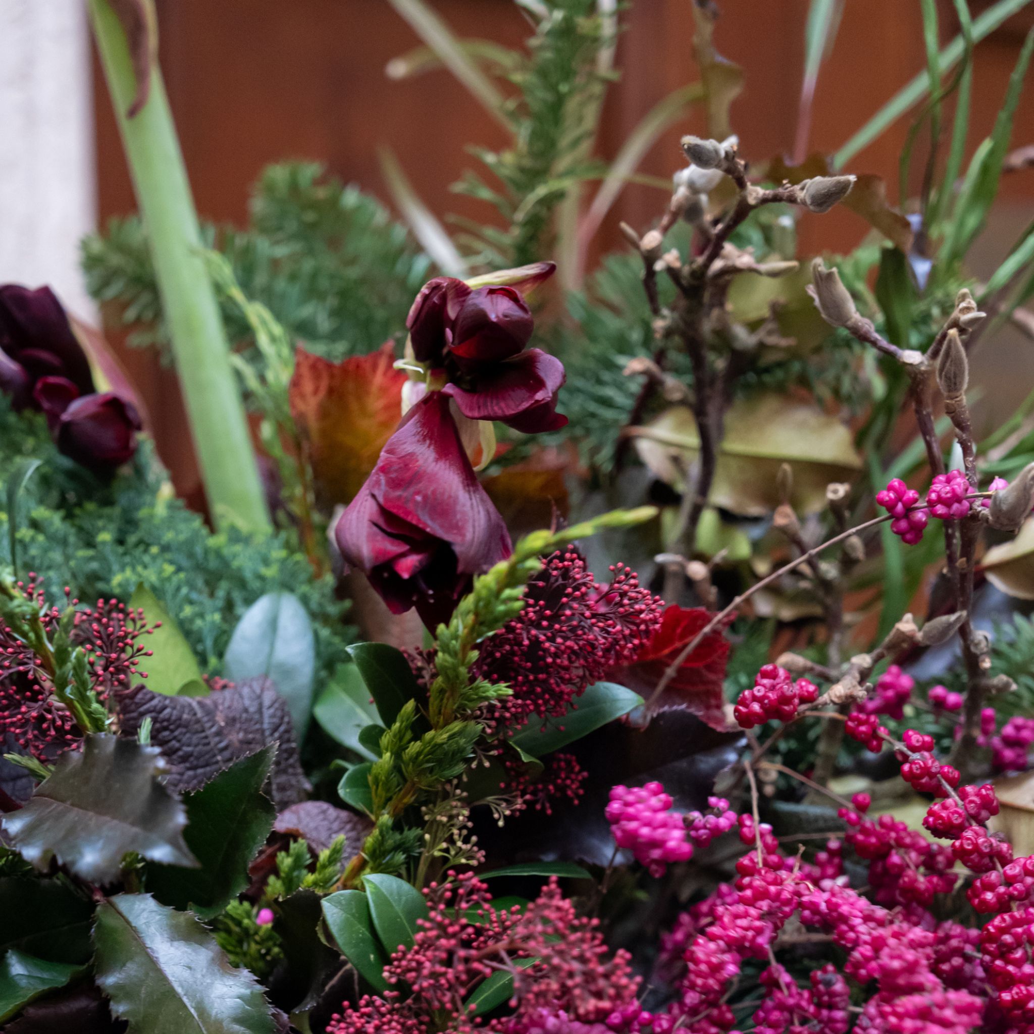Winter Grace (6)